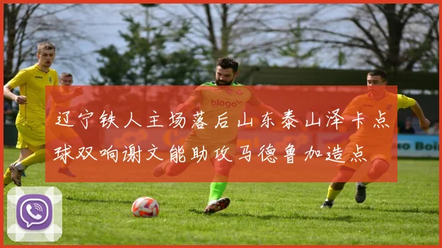 辽宁铁人主场落后山东泰山泽卡点球双响谢文能助攻马德鲁加造点